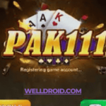 Pak111 game